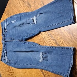 JUDY BLUE Jeans Womens 18W Blue Denim Preowned Distressed